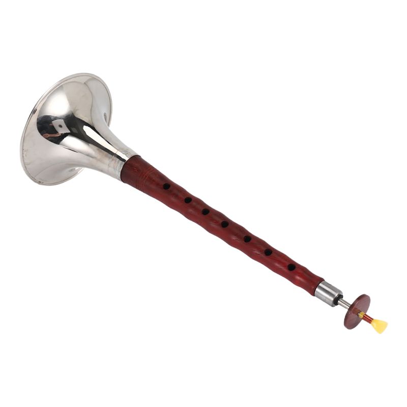 A12E-中国の民族風楽器スオナ、高品質のローズウッドロッド - Musical Instrument Zurna のレビューと価格