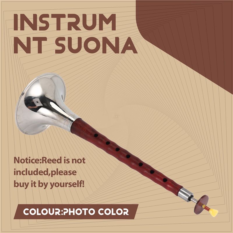 A12E-中国の民族風楽器スオナ、高品質のローズウッドロッド - Musical Instrument Zurna のレビューと価格